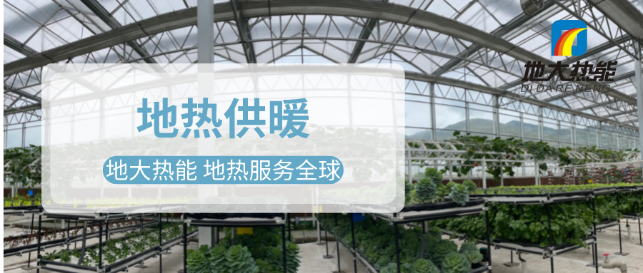 發(fā)揮地熱資源優(yōu)勢，地熱農(nóng)業(yè)實現(xiàn)花卉產(chǎn)業(yè)特色發(fā)展 | 地大熱能 地熱服務全球