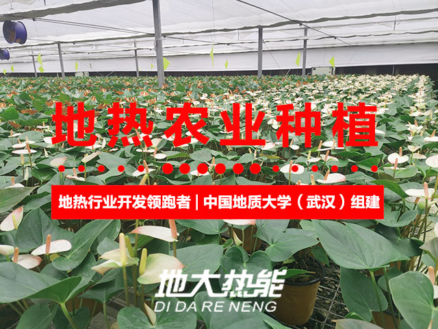 濟(jì)南：“地?zé)崮?農(nóng)業(yè)”產(chǎn)業(yè)融合，讓地?zé)崮苷嬲盁帷逼饋?lái)-地大熱能
